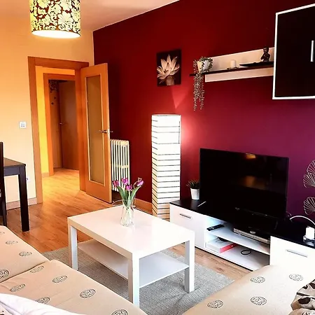 Apartment Puerta Sol *